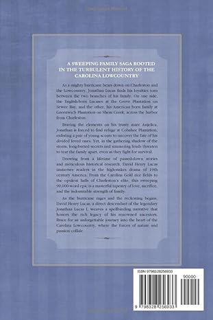 The Rice Kings, Book Four, The Beginning ~ David Henry Lucas