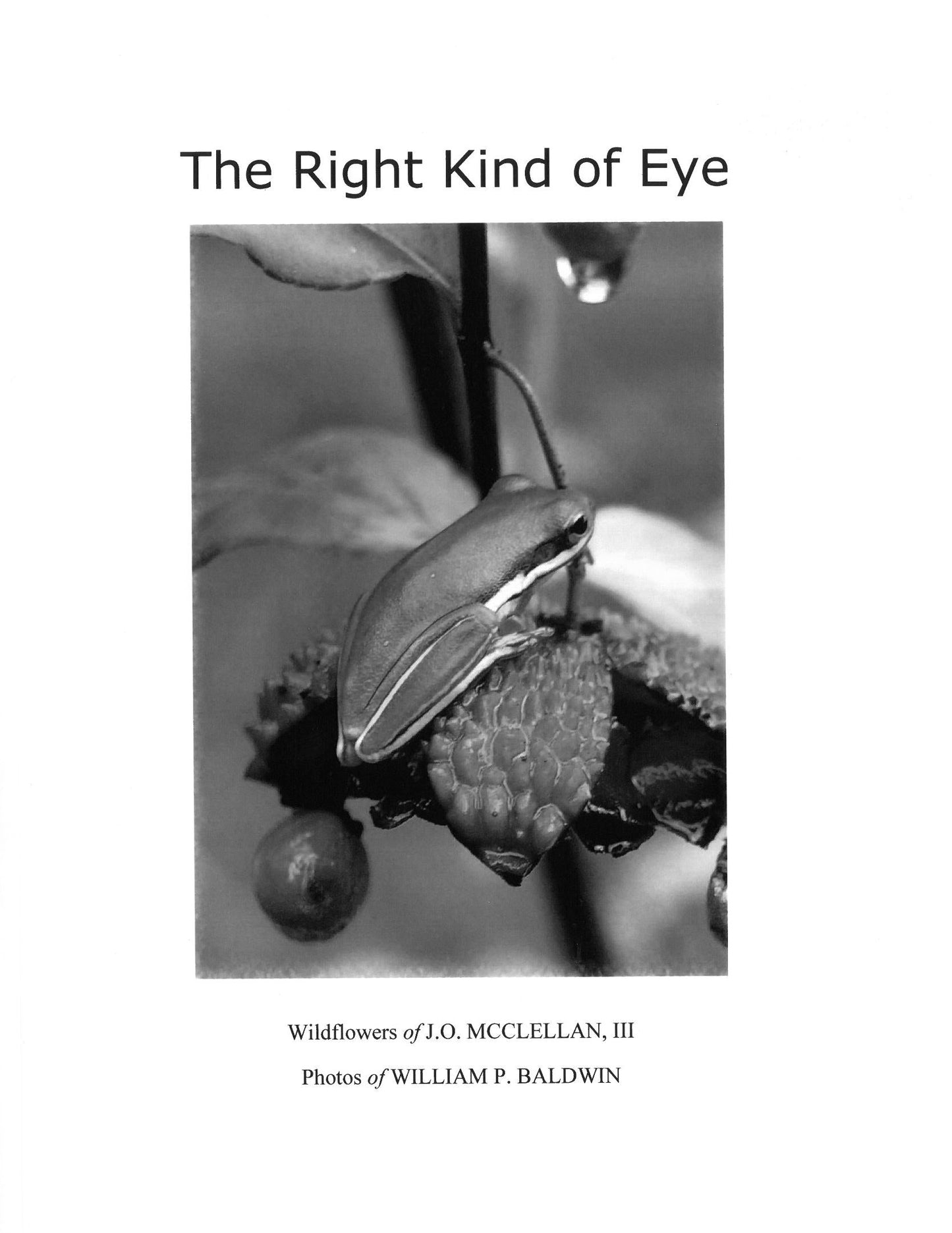 The Right Kind of Eye ~ Wildflowers of J.O. McClellan, III, Photos of William P. Baldwin