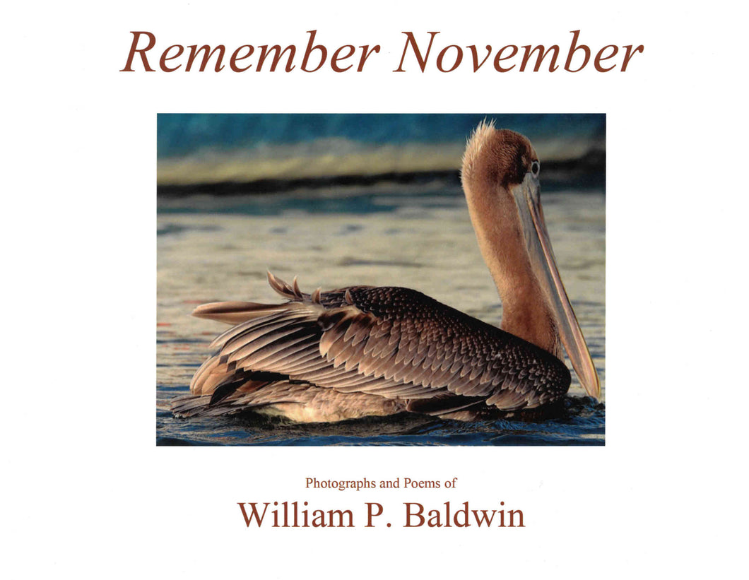 Remember November ~ William T. Baldwin