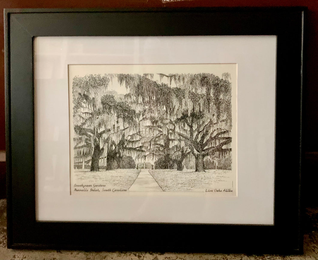 Original Framed Pen & Ink Drawing ~ Brookgreen Gardens, 