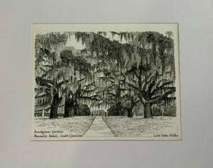 Original Framed Pen & Ink Drawing ~ Brookgreen Gardens, "Live Oaks Allee"
