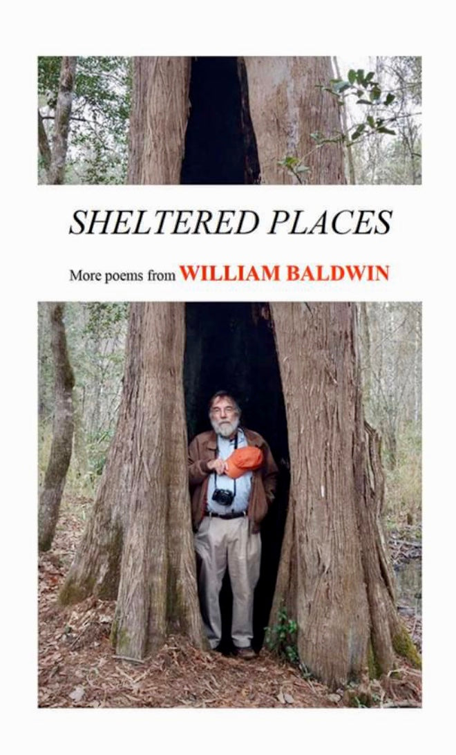 Sheltered Places ~ William P. Baldwin