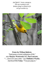 Load image into Gallery viewer, Sheltered Places ~ William P. Baldwin
