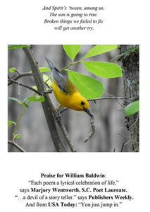 Sheltered Places ~ William P. Baldwin