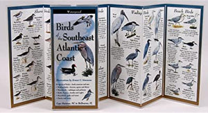 Birds of the Southeast Atlantic Coast ~ Ernest C. Simmons