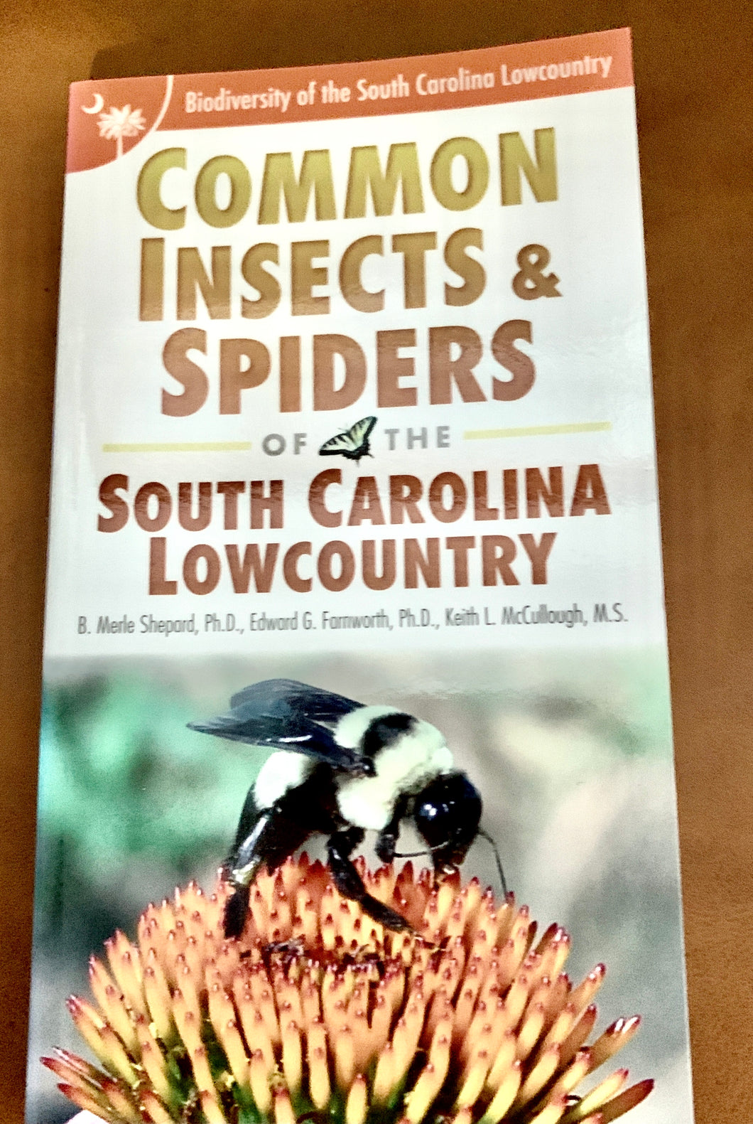 Common Insects and Spiders of the South Carolina Lowcountry-Field Guide ~ Merle Shepherd, Ed Farnworth & Keith McCollough