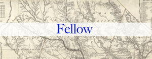 2022 Annual Membership Fellow~$500.00