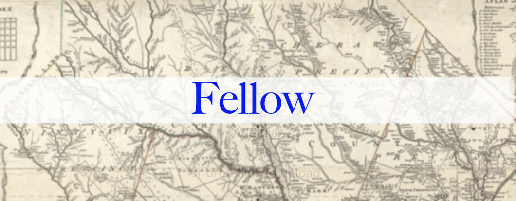 2022 Annual Membership Fellow~$500.00