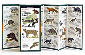 Land Mammals of the Southeast ~Fiona Reid