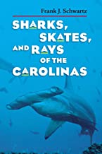 Sharks, Skates and Rays of the Carolinas ~ Frank J. Schwartz