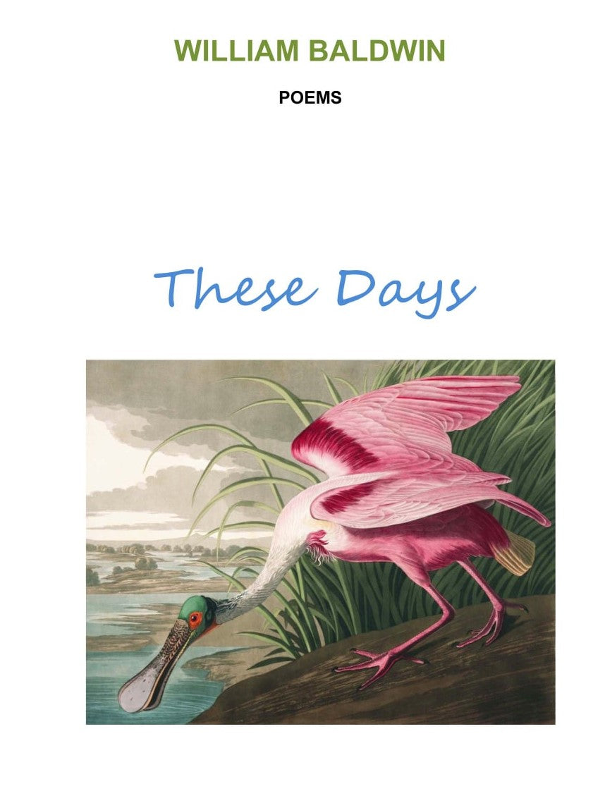 These Days ~ Poems by William Baldwin