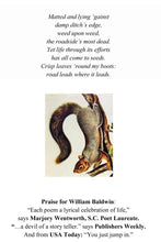 Load image into Gallery viewer, These Days ~ Poems by William Baldwin
